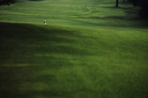 大会・イベント風景